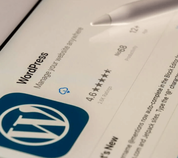 Manutenção de site Wordpress Profissional